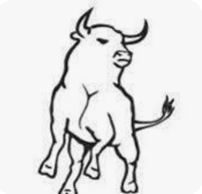 Casa Toro Automotriz