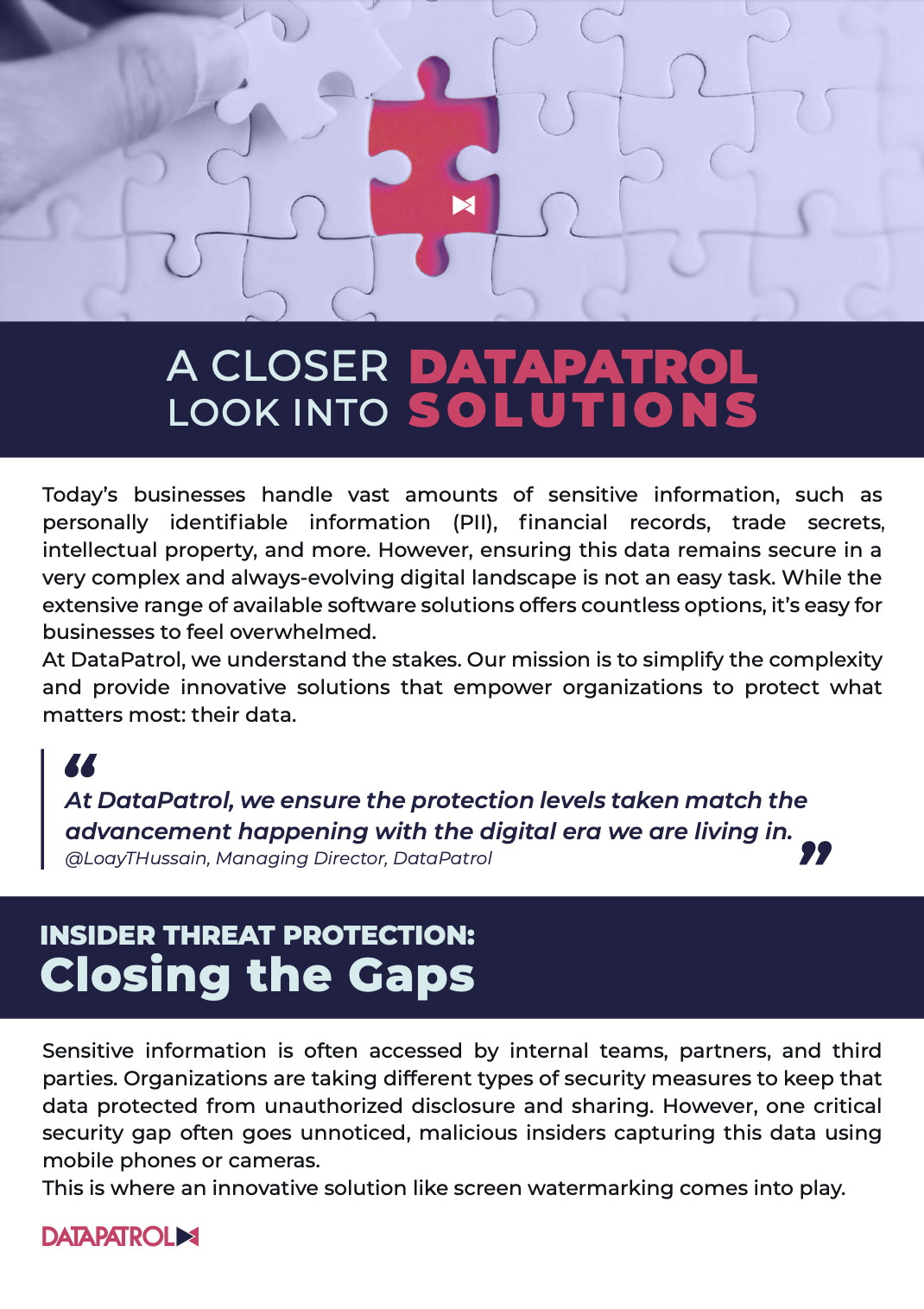 A Closer Look Into DataPatrol Solutions
