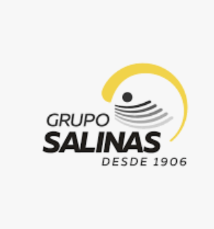 Grupo Salinas