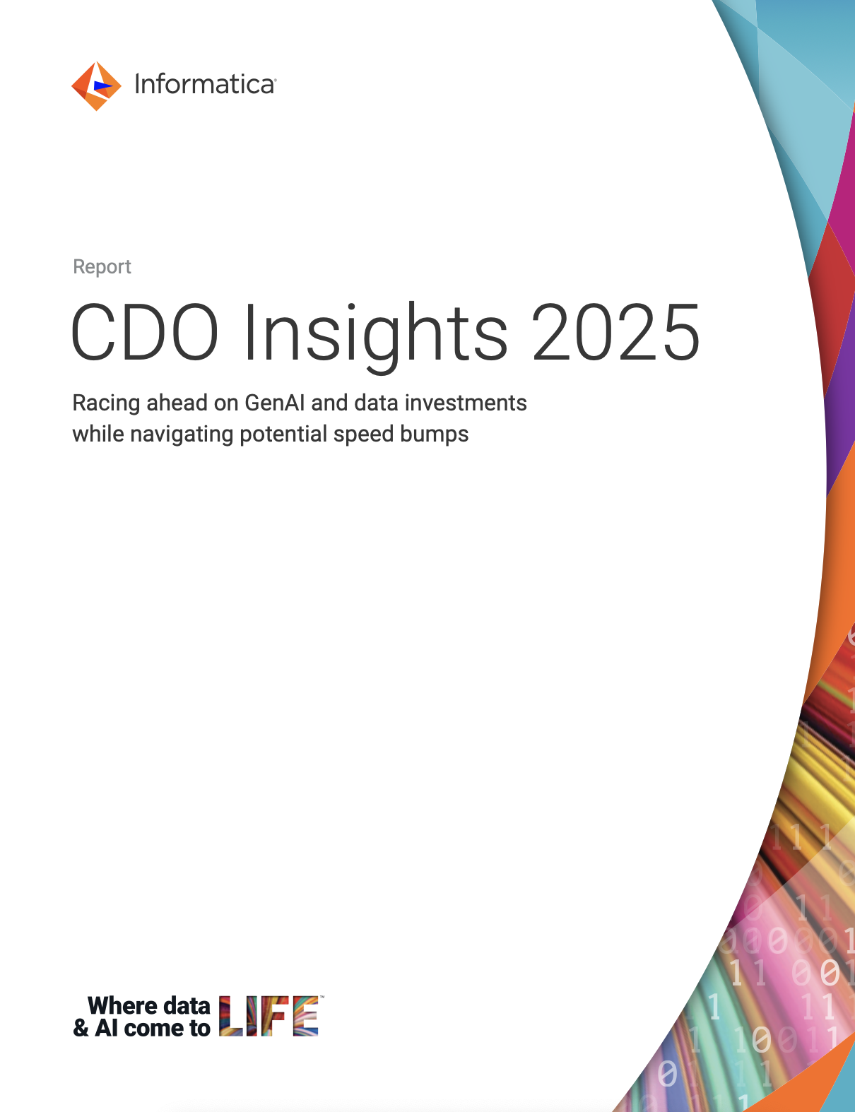 CDO Insights 2025